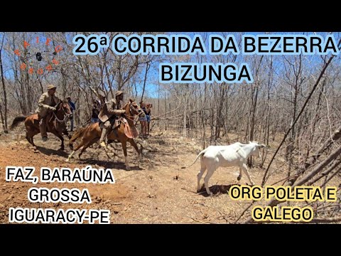 (DRONE) 26ª CORRIDA DA BEZERRA BIZUNGA FAZ, BARAÚNA GROSSA IGUARACY-PE ORG  POLETA E GALEGO 
