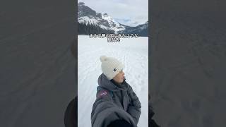 日本から直行便で行けるカナダ第4の都市へ行ってきた✈️ #カルガリー #カナダ #旅行