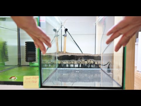 How to make a custom UGF to setup Shrimp Tank