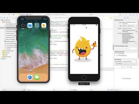 Google Database Program: Demo Cloud Firestore NoSQL Database for iOS