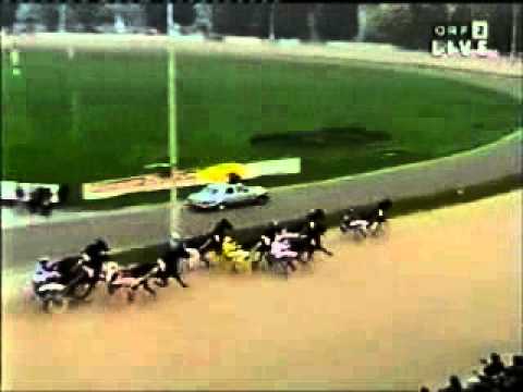 Graf Kalman Hunyady 1993 -Queen L.