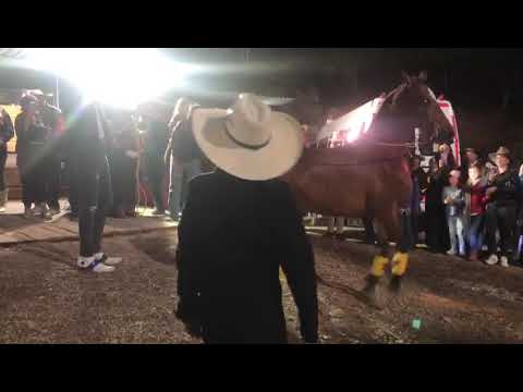 banda fronteta norte mi ultimo deseo cover en vivo 3117295843