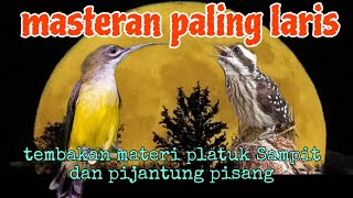 Download lagu masteran terbaik platuk Sampit dan pijantung pisang mp3 Download lagu masteran terbaik platuk Sampit dan pijantung pisang mp3
