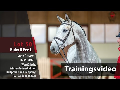 Winter Online-Auktion Training Lot 50 Ruby O Fee L Stute v. Congress - Dinard L