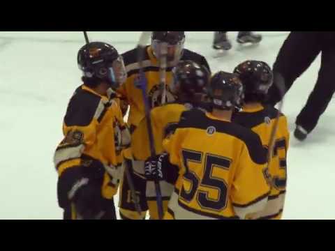 Monarch vs Valor Christian hockey   9news com