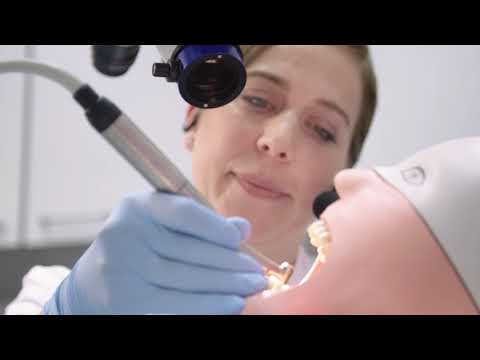 alphadidact® Digital Multimedia System im Dental-Schulungslabor