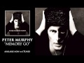 Peter Murphy - Memory Go [Audio]