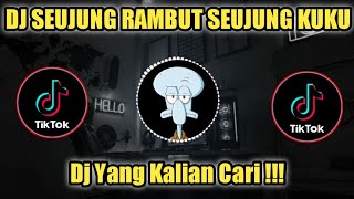 Download lagu Dj Seujung Rambut Seujung Kuku TikTok Viral 2022 mp3 Download lagu Dj Seujung Rambut Seujung Kuku TikTok Viral 2022 mp3