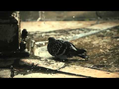 Deep at Night (Adam K & Soha Remix) - Ercola & Heikki L