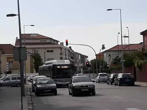 STCP 3535 - 501 (Pt1)