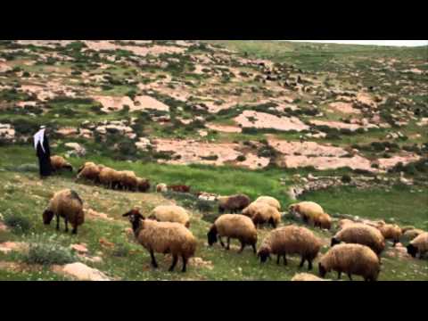 Listen to: Read the Bible in a Year, Day 14 (Genesis 45 - 48)