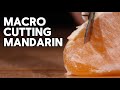 Surgeon S Secret Tangerine Trick