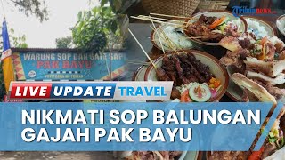 Download lagu Cicipi Olahan Daging Sapi di Sop Balungan Gajah Pak Bayu, Kuliner Enak dan Terjangkau di Yogyakarta mp3