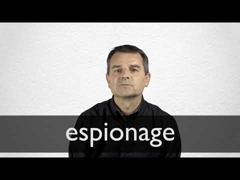 espionage definition us law