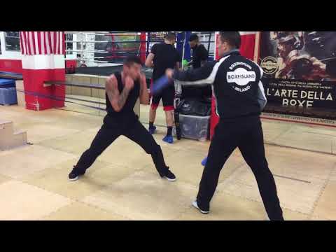 BoxeIsland Coach Cri con Mazzon