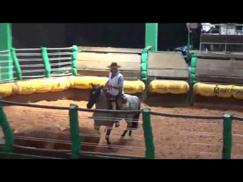 CAVALO CRIOULO  PROVA DE MANGUEIRA,  JÚLIO CÉSAR  E VB ELDORADO DEBOCHADO