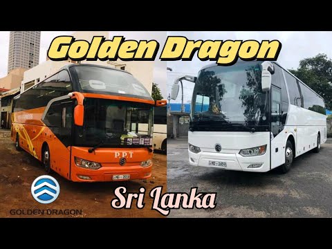Thumbnail for Golden Dragon Buses in Sri Lanka | Chinese Luxury Buses