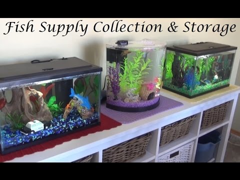 My Fish Supplies Collection & Organization