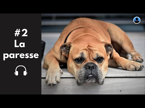 The Seven Deadly Sins - Sloth (S2E24)