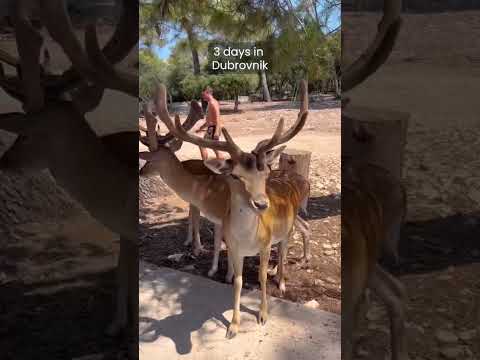 How to spend 9 days in Croatia #shorts