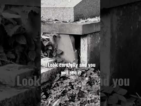 The Scariest and most haunted tomb around - WARNING! #shorts #Cemetery