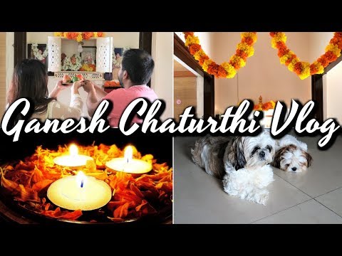 Ganesh Chaturthi Vlog | Puppies' Play Session | Ganesh Puja Vlog Video
