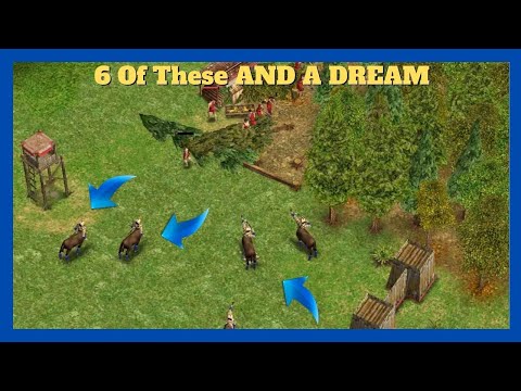 The Greek FM DREAM | 1v1 Zeus vs Poseidon #aom #ageofempires