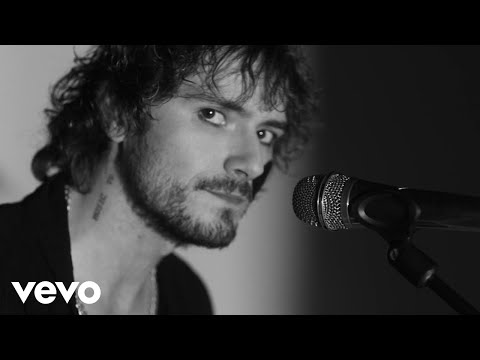 The Now - Wild Curse