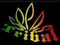 Tribal Seeds -Lost Paradise Lyrics