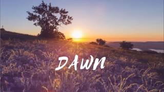 Dawn (Original) - Alex Schneider  2017