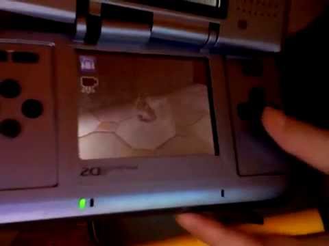 Petz : Ma Famille Chiots Nintendo DS
