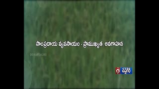 మిరపలో వైరస్ వ్యాధులు – సమగ్ర నివారణ చర్యలు