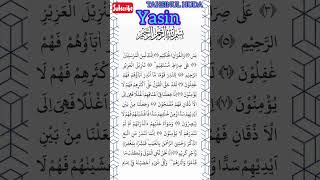 Download lagu Surah Yasin mp3 Download lagu Surah Yasin mp3