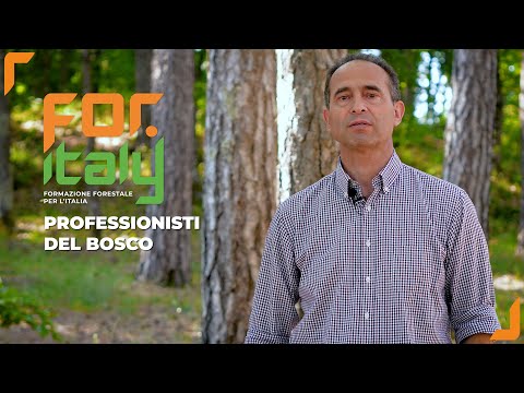 Formazione professionale: perché? - L'utilità della formazione in campo forestale e il D.M. 4472