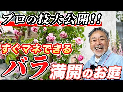 定番のバラを使ったアイデア ガーデンデザイン