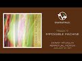 Donny McCaslin | Perpetual Motion - "Impossible Machine"