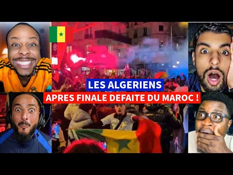 🚨😱LES ALGERIENS SONT PLUS CONTENT QUE LES SENEGALAIS APRES LA FINALE MAROC / SENEGAL !