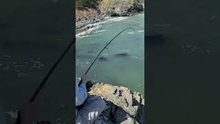 サンフランシスコの隠れた宝石！ゴールデンゲートブリッジでの究極の釣り体験