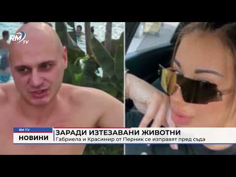 Заради изтезавани животни: Габриела и Красимир от Перник се изправят пред съда
