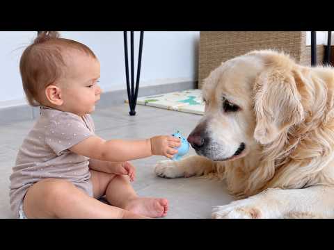 YouTube 썸네일
