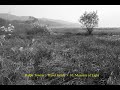 Ralph Towner : Travel Guide - 10. Museum of Light