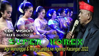Download lagu SUPER GLER  WARGO WDS & AGIL MANUNGGAL LIVE NGETREP KACANNGAN TODANAN ALFA AUDIO 2022 TERGRES PART 2 mp3