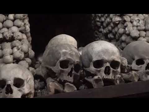 download lagu mp3 mp4 Real Bones For Sale, download lagu Real Bones For Sale gratis, unduh video klip Real Bones For Sale