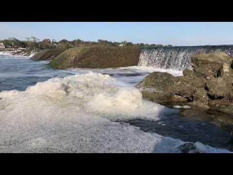 Darien Weed Beach IMG 4958