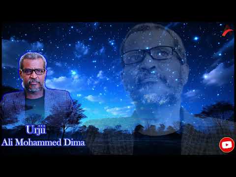 ALI MOHAMMED DIMA_Old Song URJII_Official Lyrics_2024