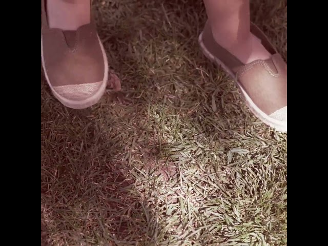 Vídeo relacionado con Alpargatas Valencianas Planas con Cintas Espardeñas Regionales Unisex, Suela de Yute, Blanco con Cintas Negras, Tallas 39-46 (Sistema Tallas Calzado EU, Adulto, Números, Mediano, 45)