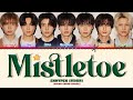 ENHYPEN (엔하이픈) 'Mistletoe' Cover (Color Coded Lyrics)