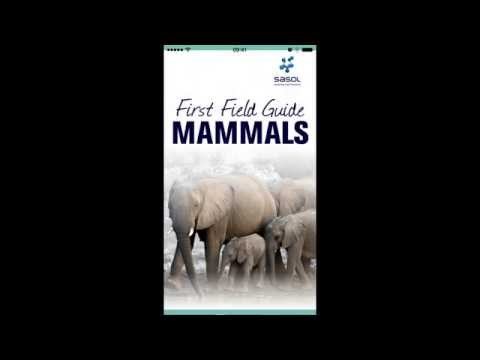 Sasol Mammals for Beginners Video