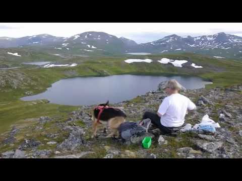 Fjelltur Finngammen 557 moh - (Melåa / Kvæfjord / Hinnøya) - 2014.07.31