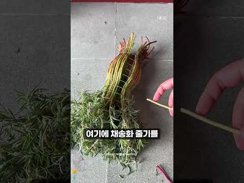 철망으로 만든 채송화 화분 #가드닝 #diy